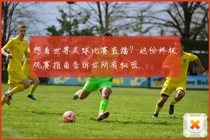 想看世界足球比赛直播？这份终极观赛指南告诉你所有秘密