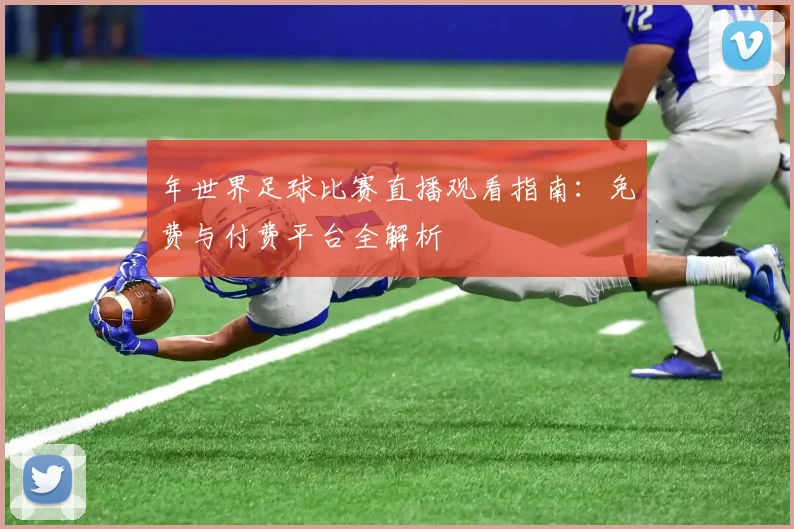 年世界足球比赛直播观看指南：免费与付费平台全解析